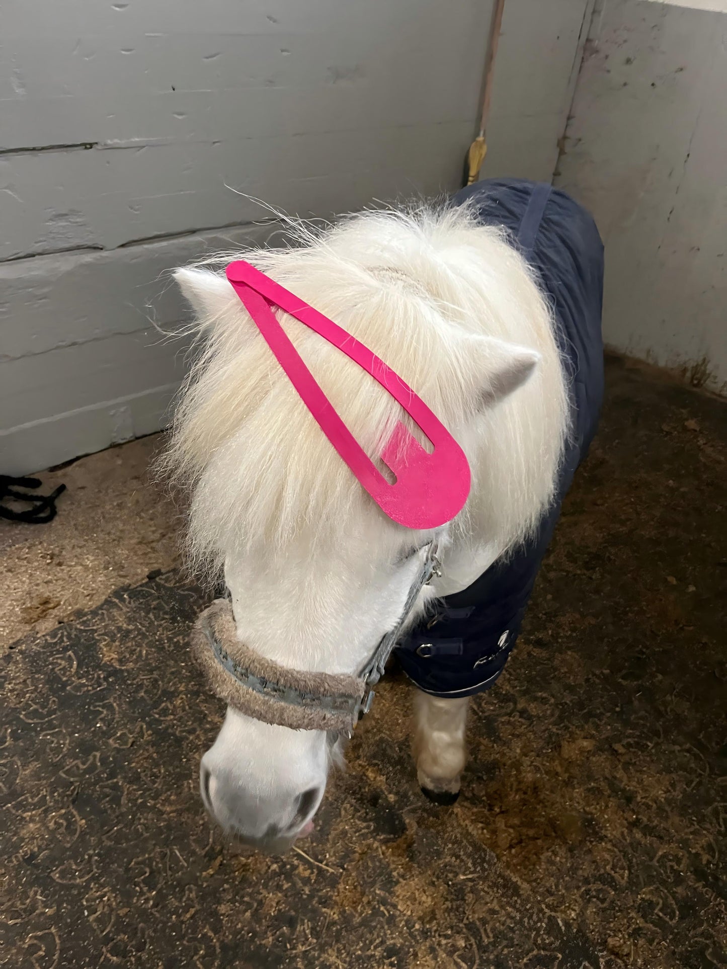 Extra Large PLA Material Hair Clip