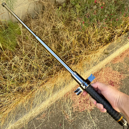 Protective baton, hiking pole