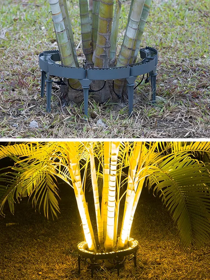 12W Warm White LED Ring Tree Hug Light, IP65 Outdoor Waterproof DC 24V Aluminum Landscape Lighting Tree Lamp